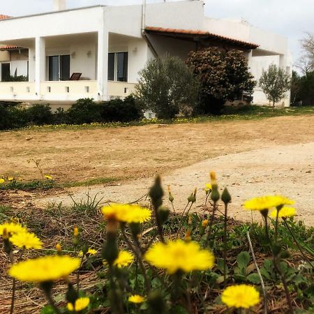 Villa The Hillhouse Near Alexandroupolis Esterno foto